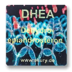 DHEA