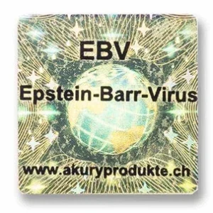 EBV