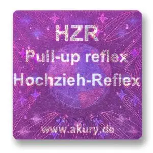 HZR