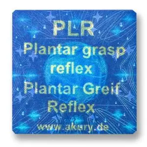 PLR