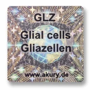 GLZ