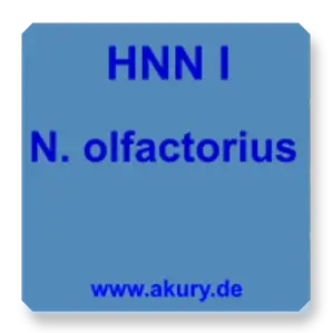 HNN I