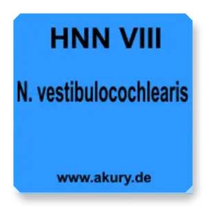 HNN VIII