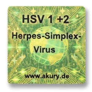 HSV 1+2