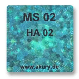 MS 02