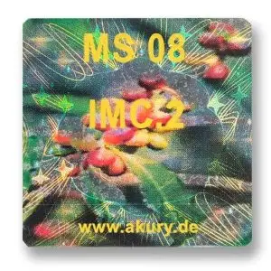 MS 08