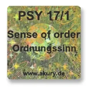 PSY 17/1