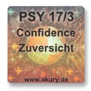 PSY 17/3