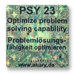 PSY 23