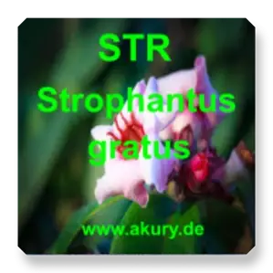 STR