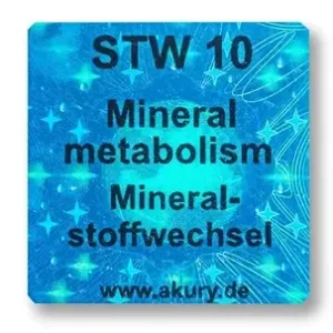 STW 10