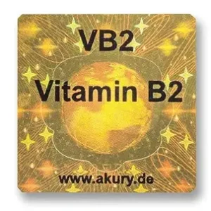VB2