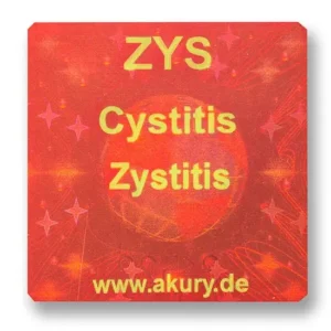 ZYS